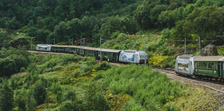Zwei Züge, einer grün und einer weiß, fahren durch eine grüne, hügelige Landschaft.